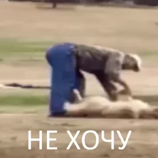 😤
