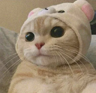 ☺️