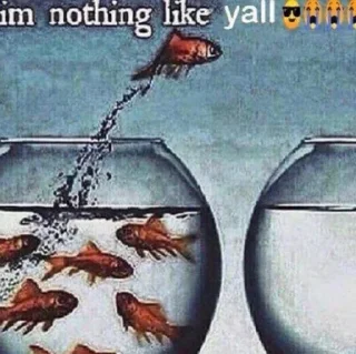 😎