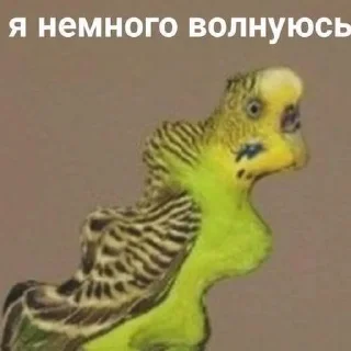 🙃