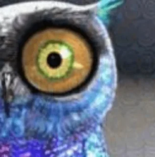 👁