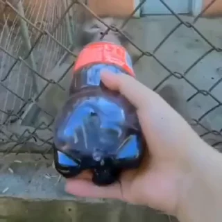 🍺