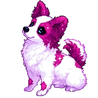 🐶