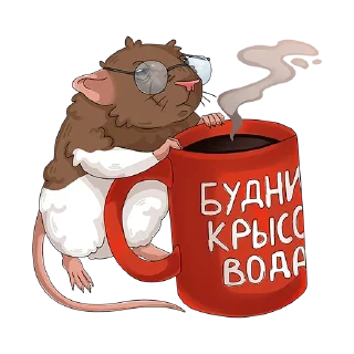 ☕️