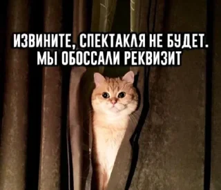 😃