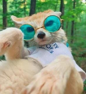 😎