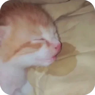 🫥