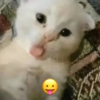 😛