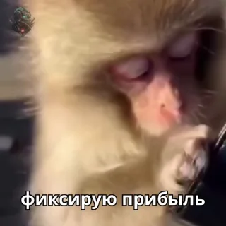 😈