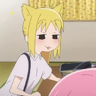 😽
