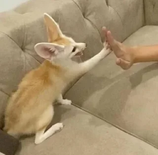 ✋