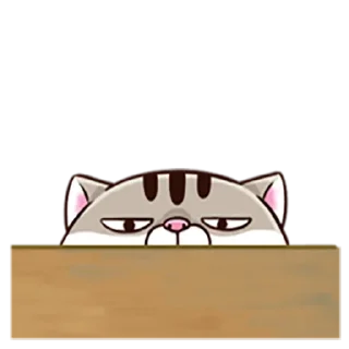 🌚