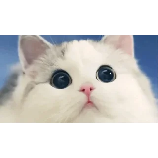 😍