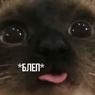 🤦‍♂