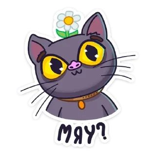 😼