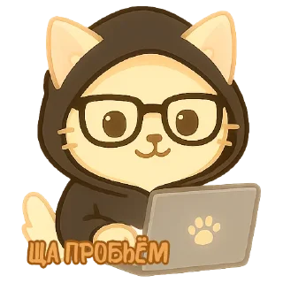 🧑‍💻