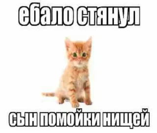 😡