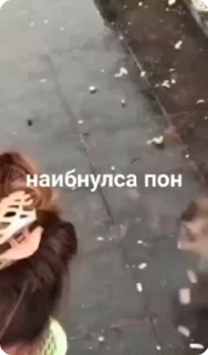 🌟