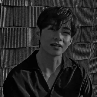 TAEHYUNG DARK @leviosastory