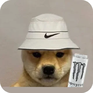 🎩