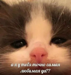 🤭