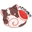 😴