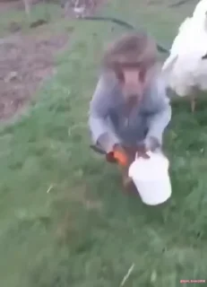 🔪