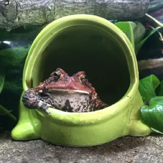 😏