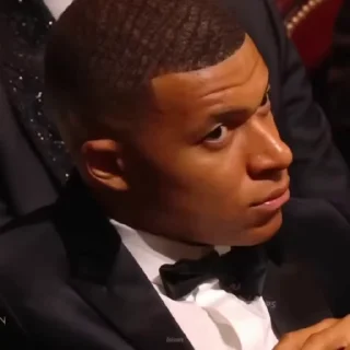 🐢