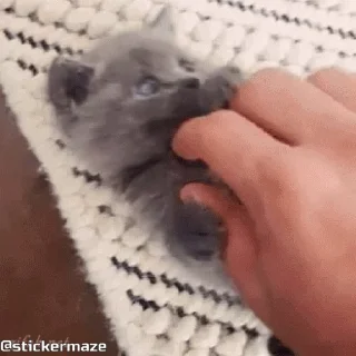 🙌