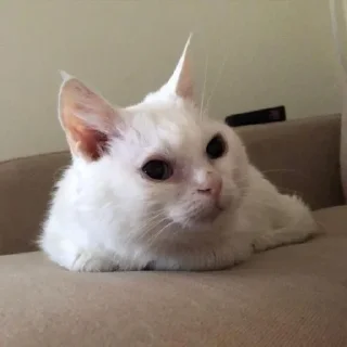 😒