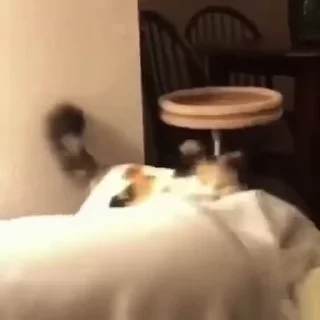 😤