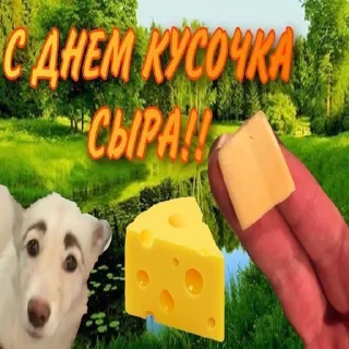 🧀