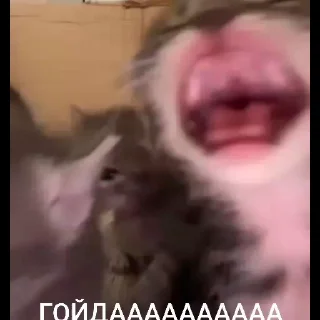 🇷🇺