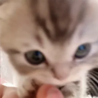 😣