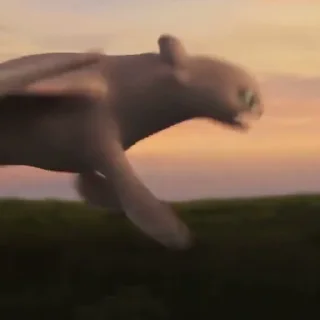 🫧