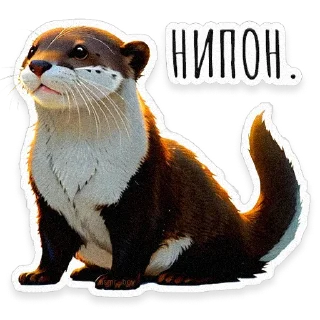 🦦