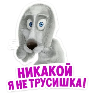 🐇