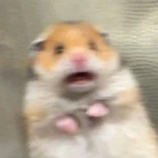 😦