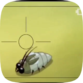 🐹