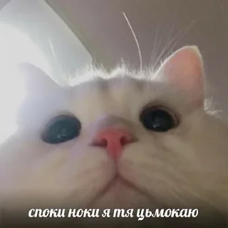 😘