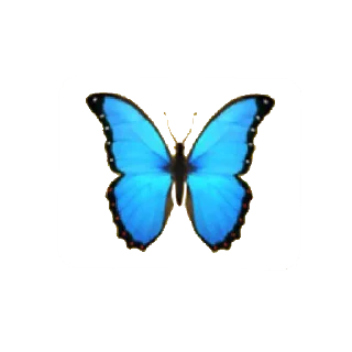 🦋