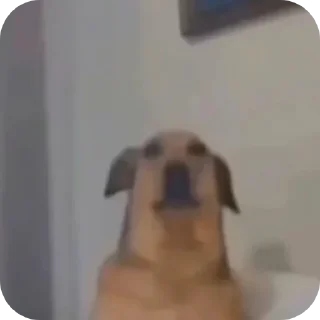 ☺