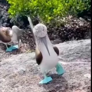 🧐