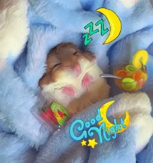 😴