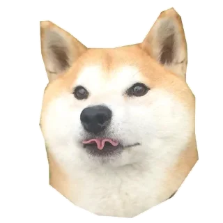 🐶