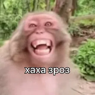 😂