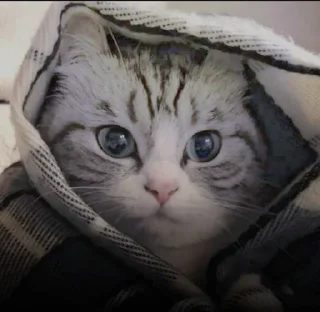 ☺️