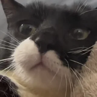😋