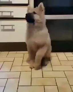 🕺